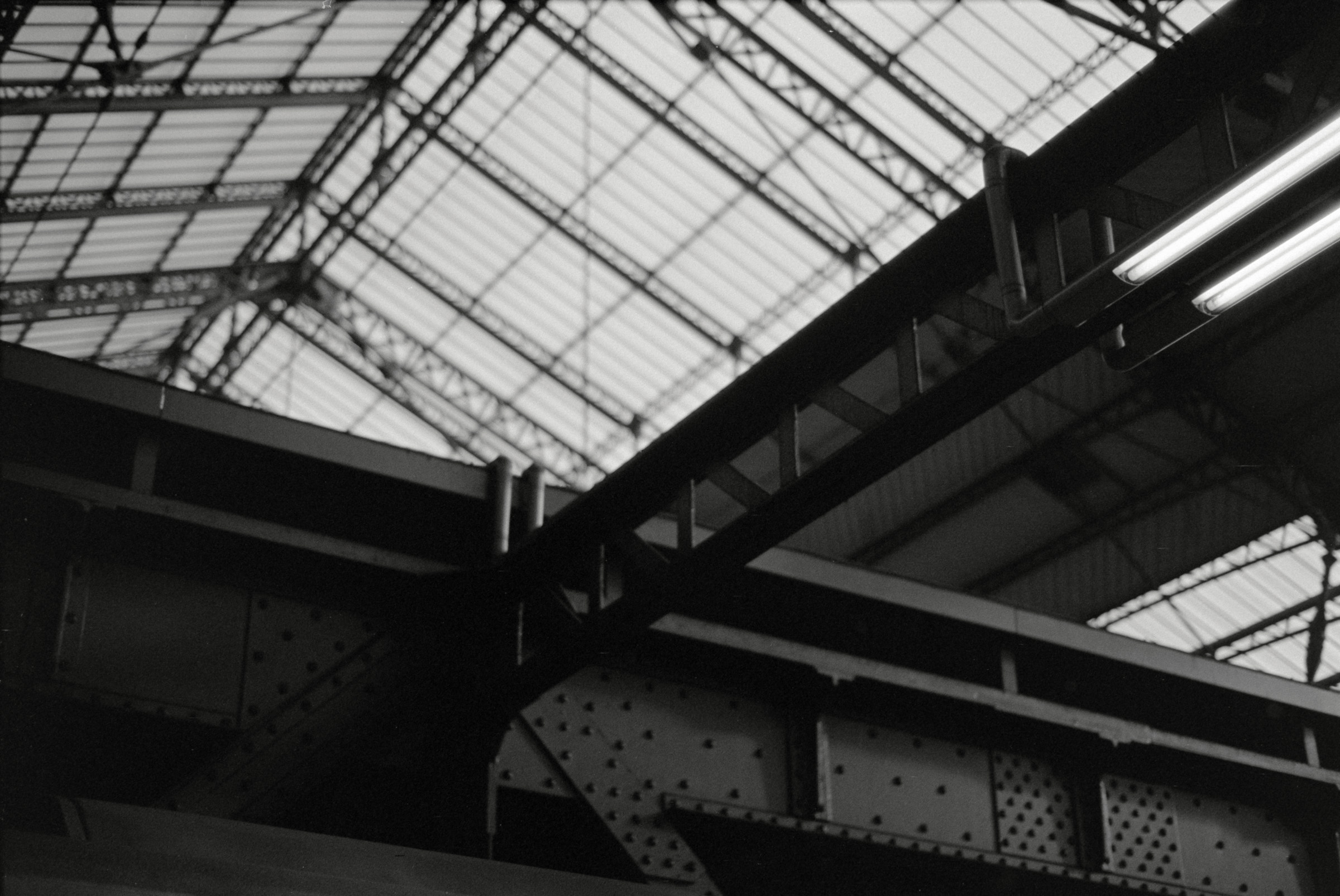 AHP F1993 04 001 sc240903 img06 NLP